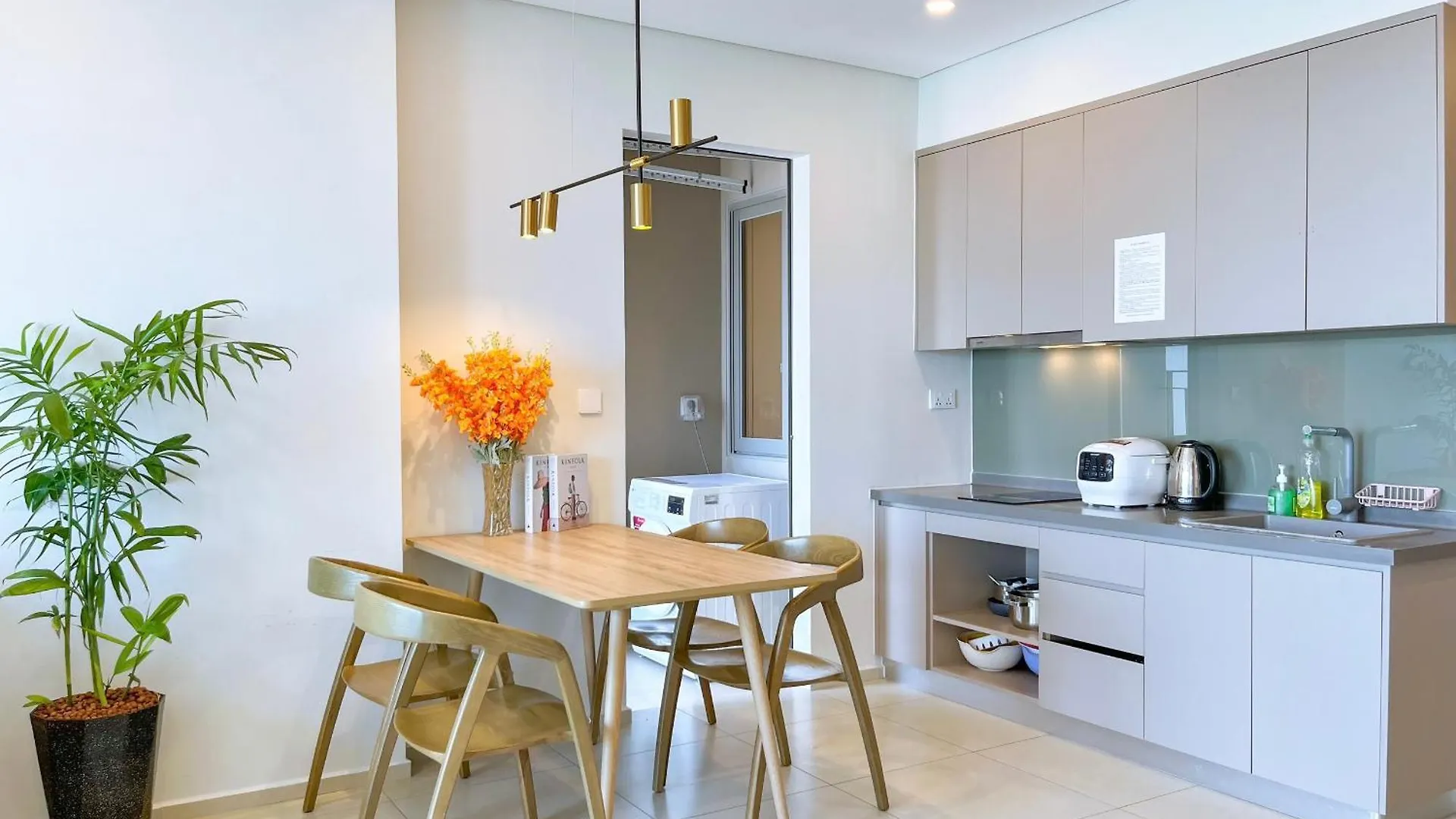 Khong Con Apartment Vung Tau
